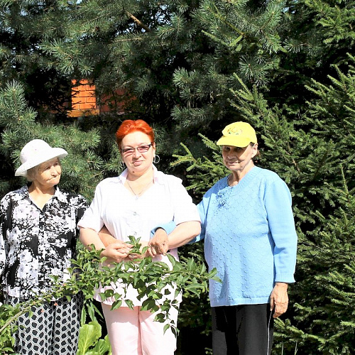 Пансионат для пожилых в Москве «Черничные поля»